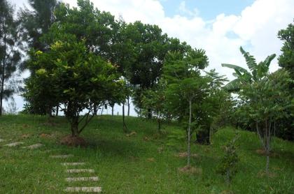 Polyculture Fruit Orchard